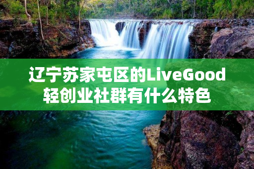 辽宁苏家屯区的LiveGood轻创业社群有什么特色