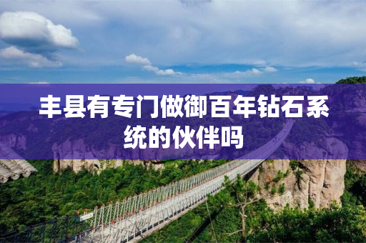 丰县有专门做御百年钻石系统的伙伴吗