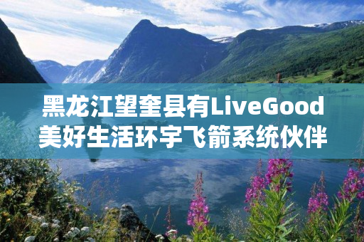 黑龙江望奎县有LiveGood美好生活环宇飞箭系统伙伴吗
