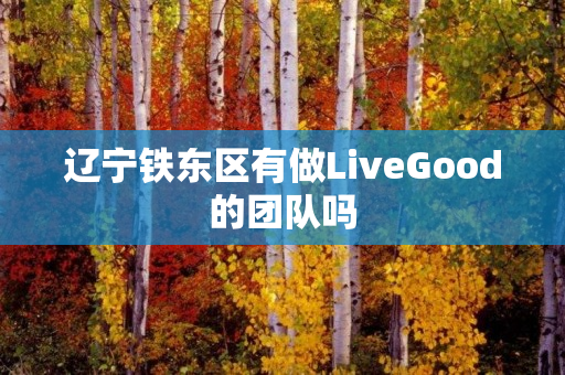 辽宁铁东区有做LiveGood的团队吗