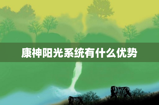 康神阳光系统有什么优势