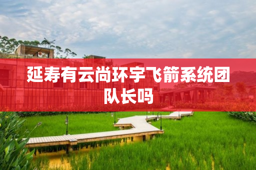 延寿有云尚环宇飞箭系统团队长吗