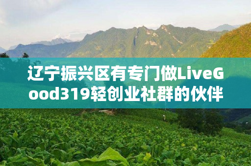 辽宁振兴区有专门做LiveGood319轻创业社群的伙伴吗