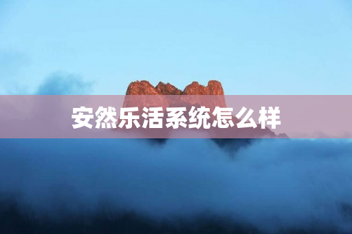 安然乐活系统怎么样
