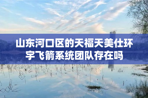 山东河口区的天福天美仕环宇飞箭系统团队存在吗