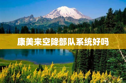 康美来空降部队系统好吗