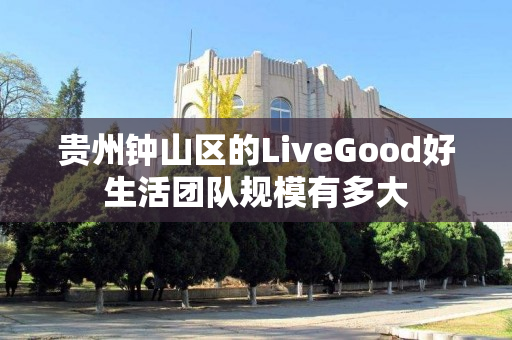 贵州钟山区的LiveGood好生活团队规模有多大