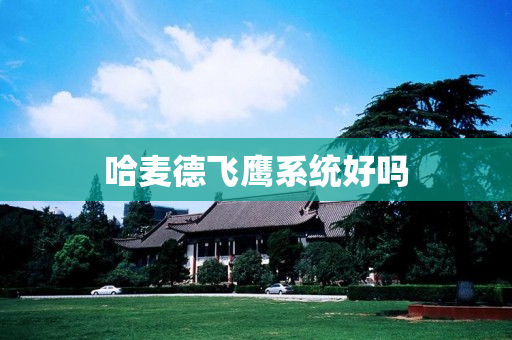 哈麦德飞鹰系统好吗