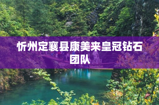 忻州定襄县康美来皇冠钻石团队