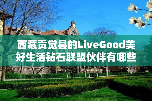 西藏贡觉县的LiveGood美好生活钻石联盟伙伴有哪些