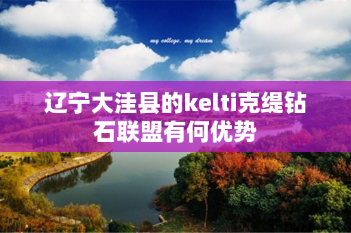 辽宁大洼县的kelti克缇钻石联盟有何优势