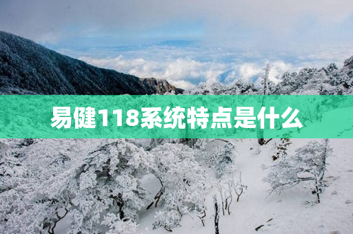 易健118系统特点是什么