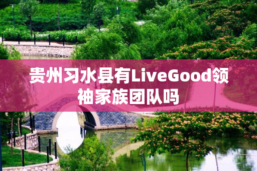 贵州习水县有LiveGood领袖家族团队吗