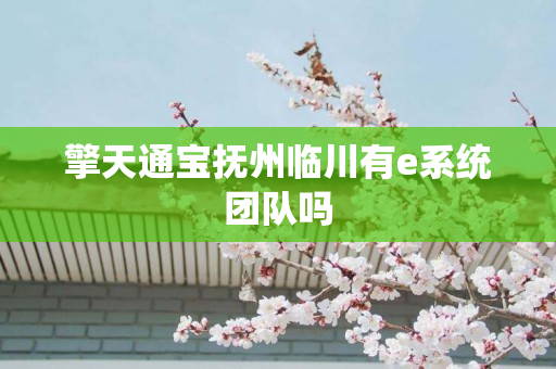 擎天通宝抚州临川有e系统团队吗