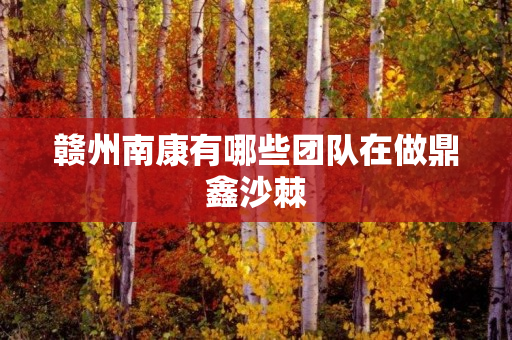 赣州南康有哪些团队在做鼎鑫沙棘