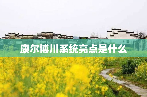 康尔博川系统亮点是什么