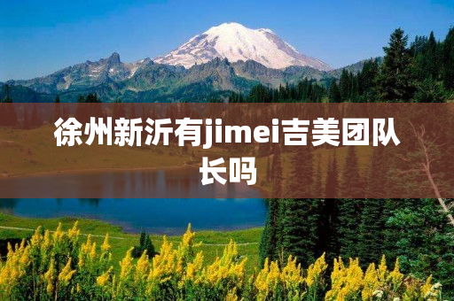 徐州新沂有jimei吉美团队长吗