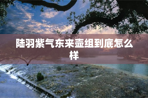 陆羽紫气东来壶组到底怎么样