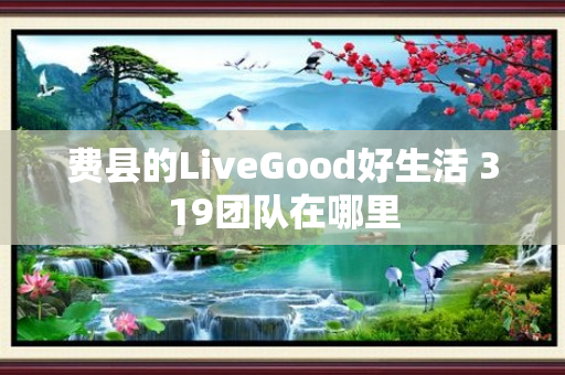 费县的LiveGood好生活 319团队在哪里