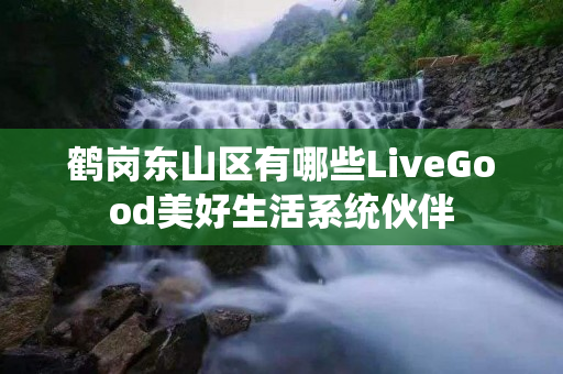 鹤岗东山区有哪些LiveGood美好生活系统伙伴