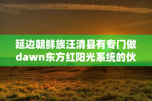 延边朝鲜族汪清县有专门做dawn东方红阳光系统的伙伴吗