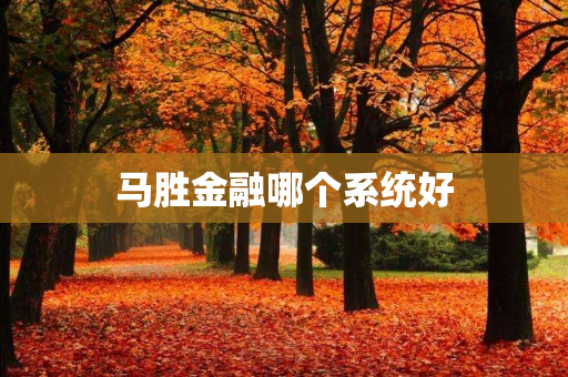 马胜金融哪个系统好
