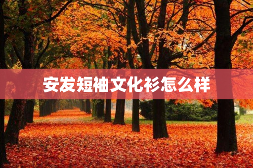 安发短袖文化衫怎么样