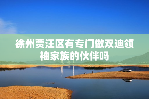 徐州贾汪区有专门做双迪领袖家族的伙伴吗