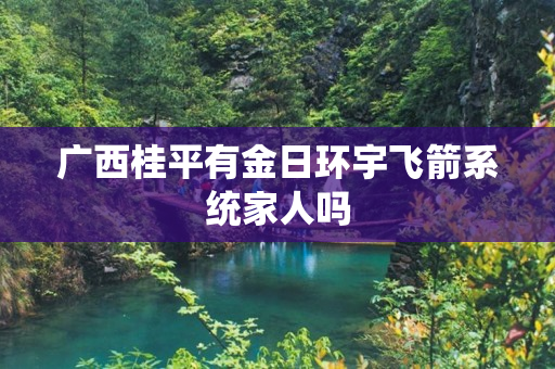 广西桂平有金日环宇飞箭系统家人吗