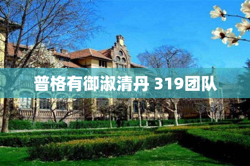 普格有御淑清丹 319团队