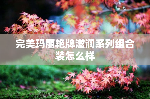 完美玛丽艳牌滋润系列组合装怎么样