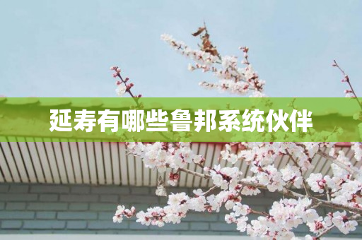 延寿有哪些鲁邦系统伙伴