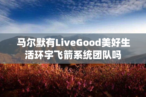 马尔默有LiveGood美好生活环宇飞箭系统团队吗