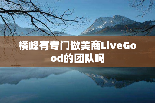 横峰有专门做美商LiveGood的团队吗