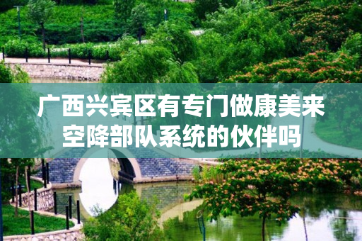 广西兴宾区有专门做康美来空降部队系统的伙伴吗