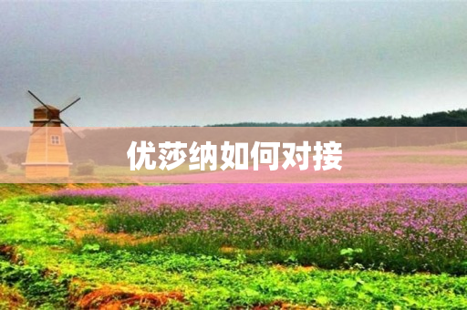 优莎纳如何对接