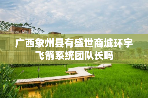 广西象州县有盛世商城环宇飞箭系统团队长吗