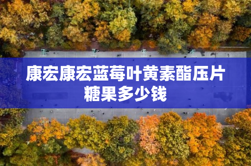 康宏康宏蓝莓叶黄素酯压片糖果多少钱