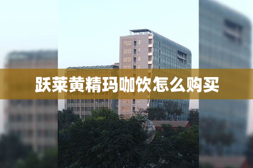 跃莱黄精玛咖饮怎么购买