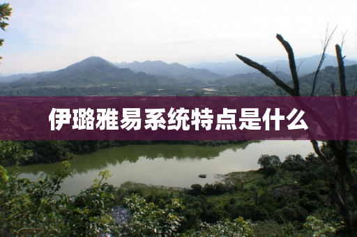 伊璐雅易系统特点是什么