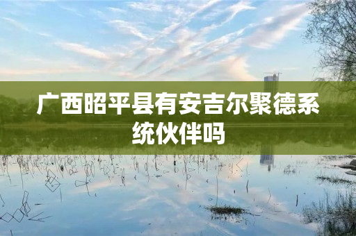 广西昭平县有安吉尔聚德系统伙伴吗