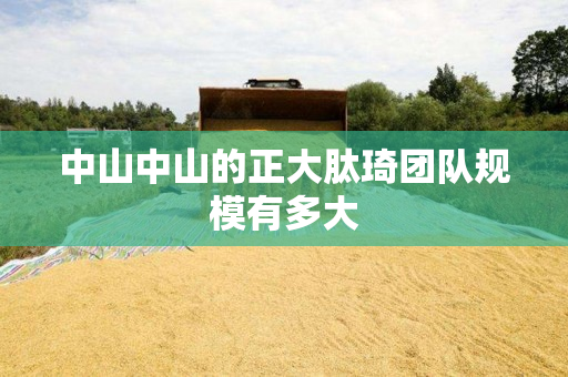 中山中山的正大肽琦团队规模有多大