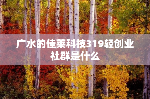 广水的佳莱科技319轻创业社群是什么