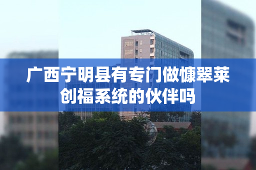 广西宁明县有专门做慷翠莱创福系统的伙伴吗