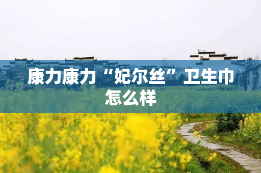 康力康力“妃尔丝”卫生巾怎么样