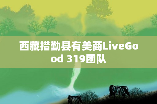 西藏措勤县有美商LiveGood 319团队