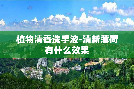 植物清香洗手液-清新薄荷有什么效果