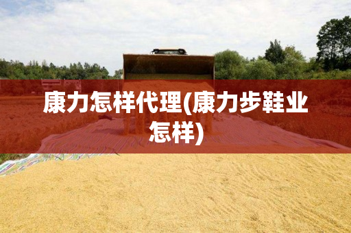 康力怎样代理(康力步鞋业怎样)