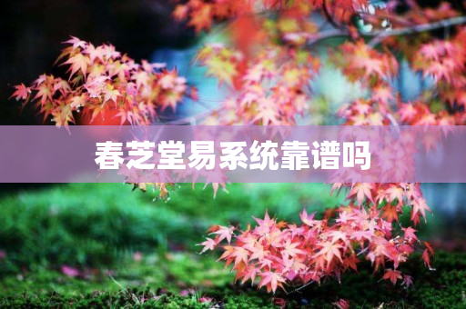 春芝堂易系统靠谱吗