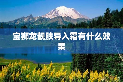 宝狮龙靓肤导入霜有什么效果